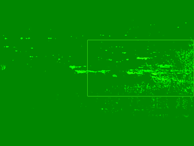 Motion before despeckle